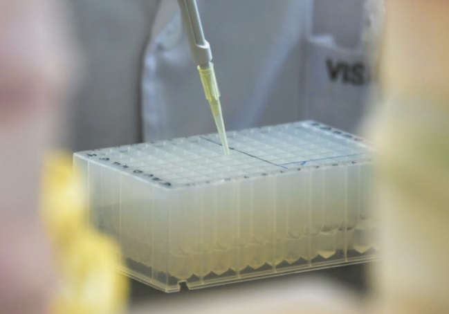Une nouvelle technique d'édition génétique évite les mutations non désirées Une nouvelle technique d'édition génétique évite les mutations non désirées