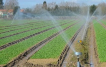 Les subventions accordées aux agriculteurs du Gharb en 2018 ont atteint 135 MDH
