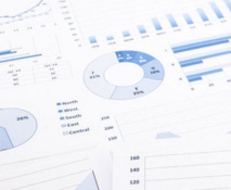 Rapport annuel sur la mise en œuvre de la politique pénale Rapport annuel sur la mise en œuvre de la politique pénale