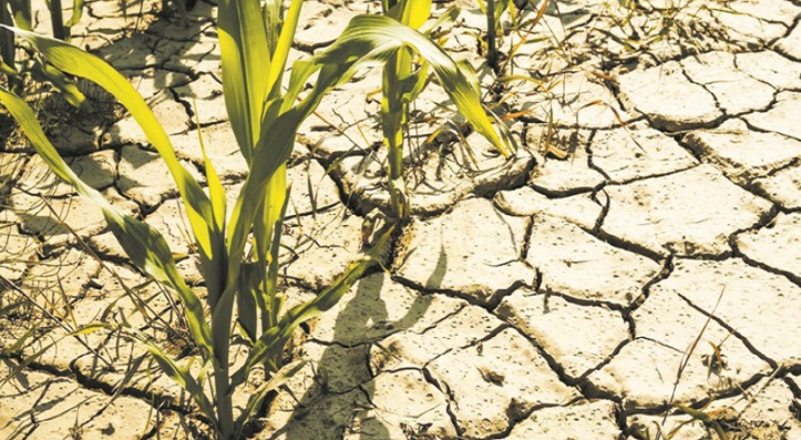 Le réchauffement climatique pourrait menacer 80 millions d’emplois d’ici 2030 Le réchauffement climatique pourrait menacer 80 millions d’emplois d’ici 2030