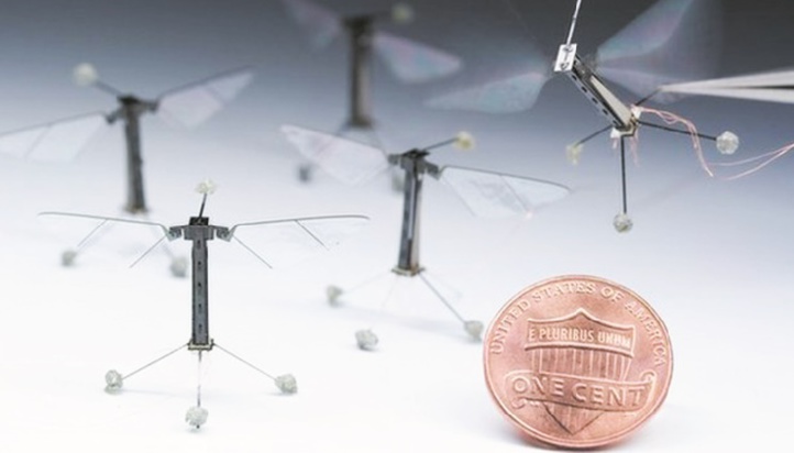 RoboBee, le plus petit robot insecte volant