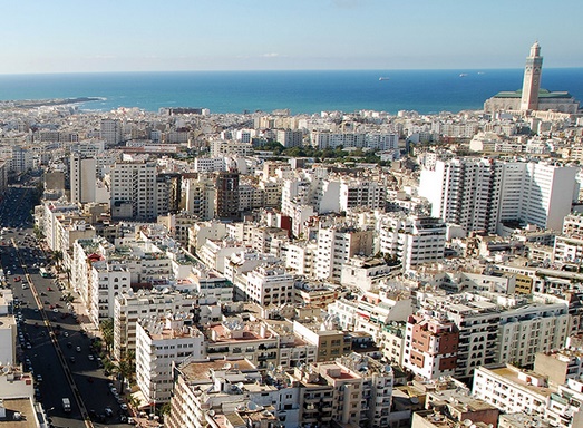 Lancement de la lutte contre les vecteurs de maladies à Casablanca