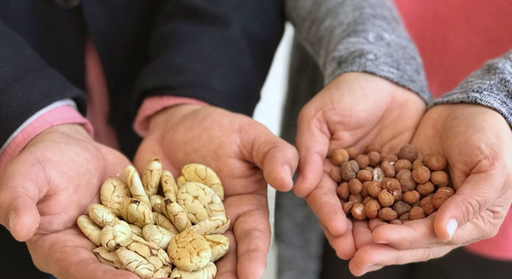 Les prix mondiaux des produits  alimentaires restent stables en juin
