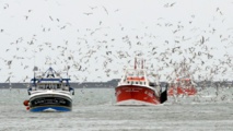 Les bateaux de pêche européens retournent dans les eaux territoriales marocaines Les bateaux de pêche européens retournent dans les eaux territoriales marocaines
