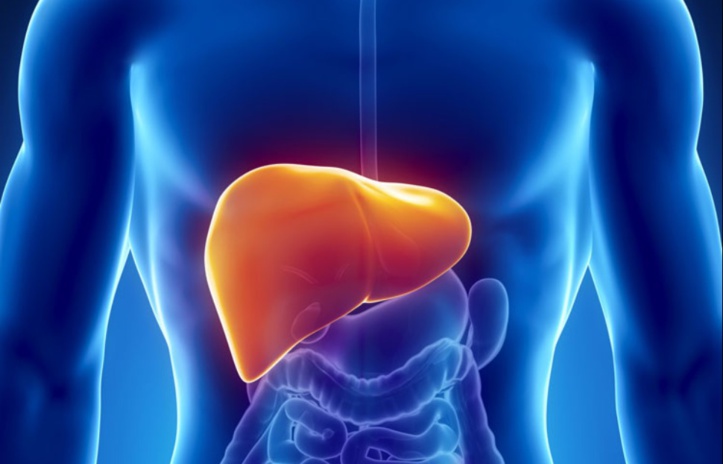 S.O.S hépatites Maroc tire la sonnette d’alarme S.O.S hépatites Maroc tire la sonnette d’alarme