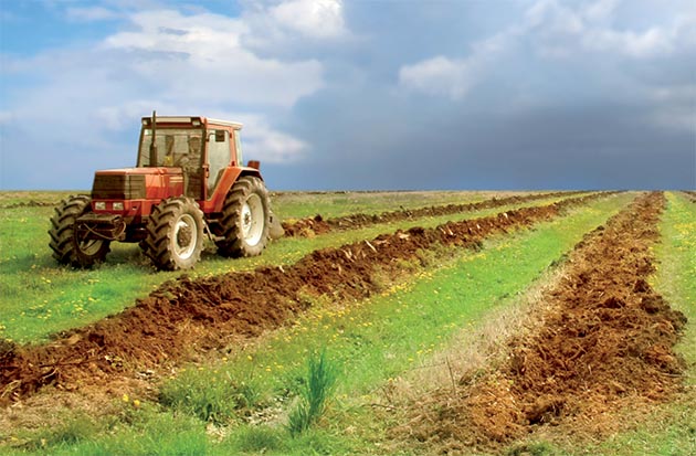 Performance satisfaisante  des activités non agricoles