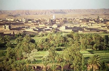 Réparation communautaire : Le CNDH planche sur le patrimoine oasien à Ouarzazate Réparation communautaire : Le CNDH planche sur le patrimoine oasien à Ouarzazate