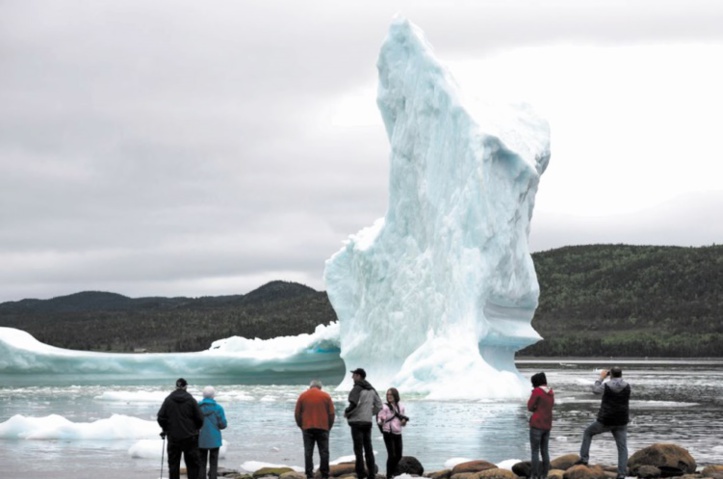 Au Canada, les touristes se bousculent dans le "couloir des icebergs"