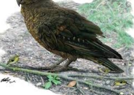 Découverte des restes d'"Hercule" Découverte des restes d'"Hercule"