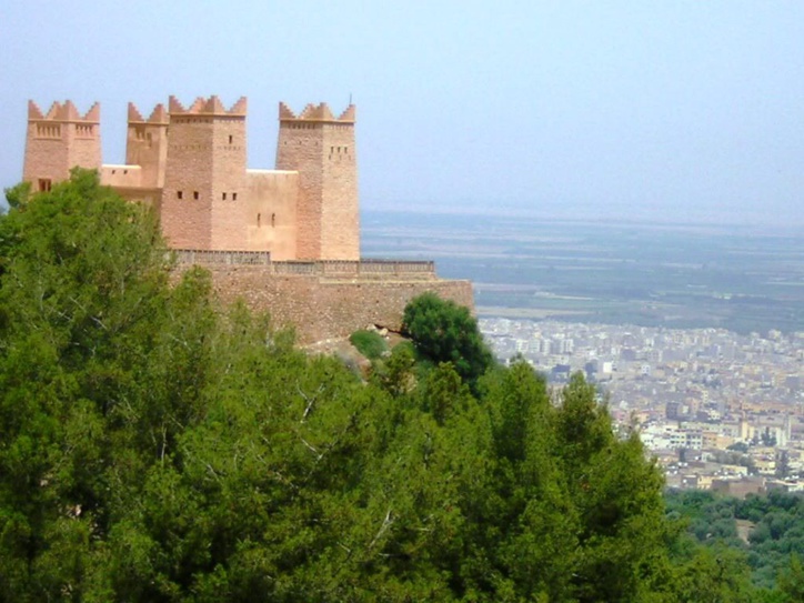 Un incendie ravage une forêt de pins sur les hauteurs de Béni Mellal Un incendie ravage une forêt de pins sur les hauteurs de Béni Mellal