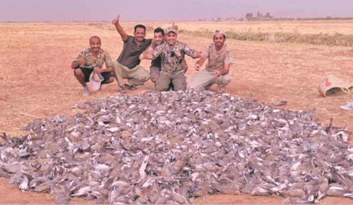 Une partie de chasse d’oiseaux indigne la Toile