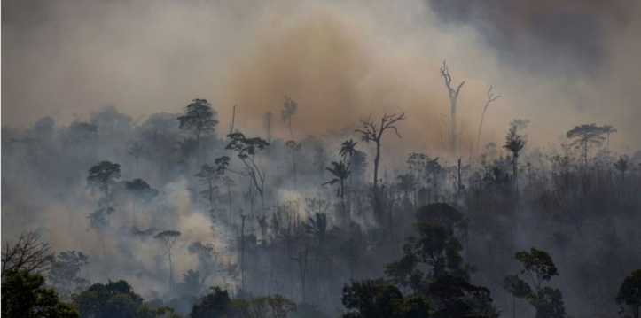 En réaction à la politique environnementale de Brasilia