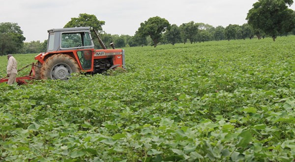 La mécanisation stimule  le développement durable de l’Afrique