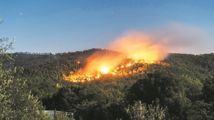 Nos forêts se consument