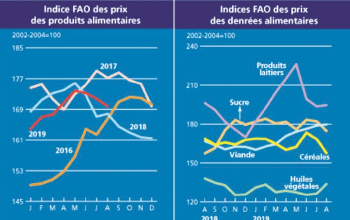 Forte chute des prix des céréales de base et du sucre à l’échelle mondiale Forte chute des prix des céréales de base et du sucre à l’échelle mondiale