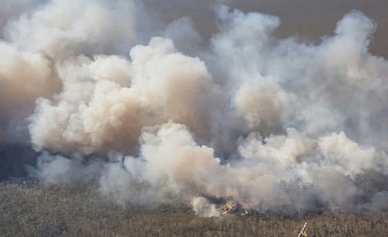 En Australie, un combat “herculéen” contre les feux de forêt