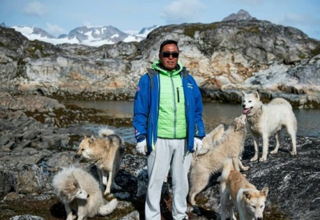 Au Groenland, les chiens de traîneau menacés par la fonte des glaces