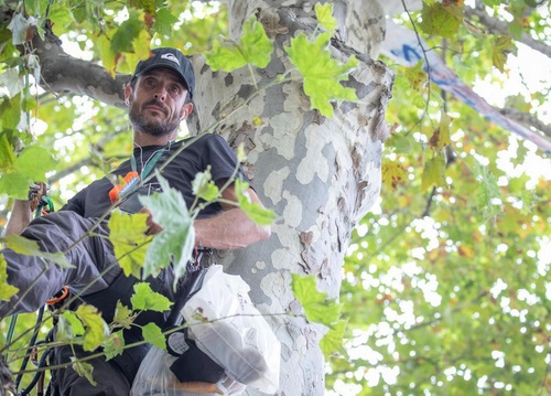 Insolite : Militant écolo Insolite : Militant écolo