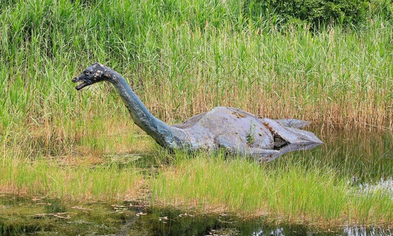 Et si le monstre du Loch Ness était une anguille ?