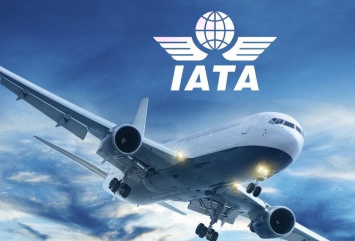 Le nouvel échéancier de paiement de l’IATA inquiète les voyagistes marocains