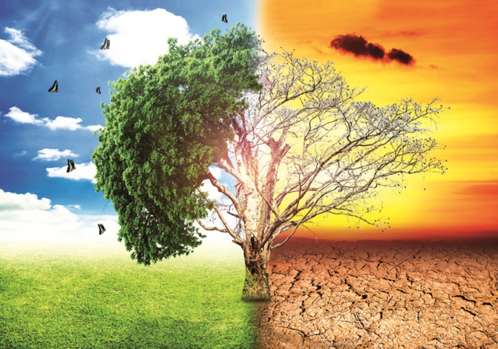 Le changement assassin : La dégradation de la qualité de l’eau, de l’air et du sol en cause Le changement assassin : La dégradation de la qualité de l’eau, de l’air et du sol en cause