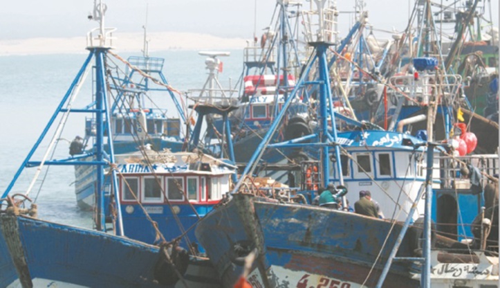 La pêche maritime à Al Hoceima, un levier important pour le développement de l'économie locale La pêche maritime à Al Hoceima, un levier important pour le développement de l'économie locale