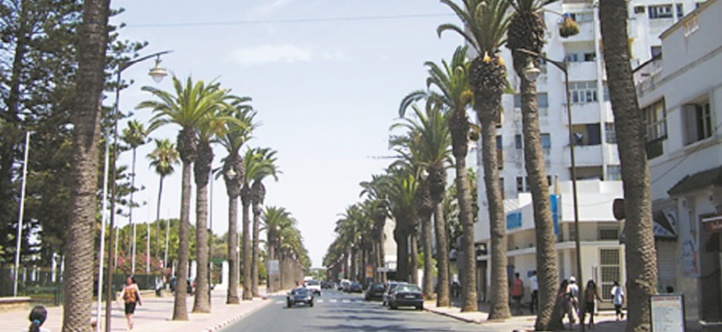 La CGEM réunit les opérateurs sur le modèle entrepreneurial à El Jadida La CGEM réunit les opérateurs sur le modèle entrepreneurial à El Jadida