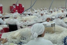 Parc industriel de Settat : Un levier pour l’emploi dans la région de Chaouia-Ouardigha Parc industriel de Settat : Un levier pour l’emploi dans la région de Chaouia-Ouardigha