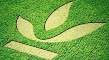 Le Crédit agricole lance un emprunt obligataire