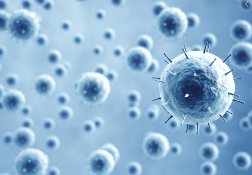 Le virus de la rougeole remet à zéro vos défenses immunitaires