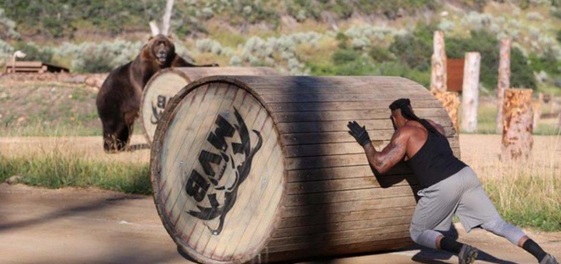 Insolite : Duel entre des ours et des hommes Insolite : Duel entre des ours et des hommes