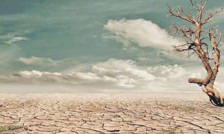 Dix scientifiques marocains s'associent à un appel mondial mettant en garde contre l’ urgence climatique