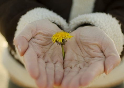 Comment cultiver le stress positif