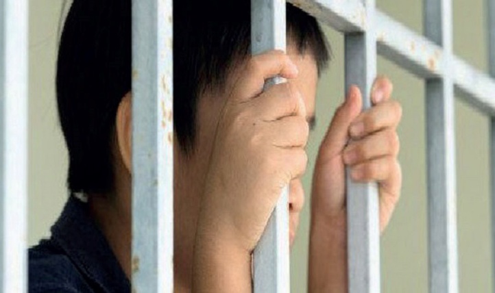 Appel à l'élaboration d'une feuille de route nationale pour promouvoir des alternatives au placement institutionnel des enfants Appel à l'élaboration d'une feuille de route nationale pour promouvoir des alternatives au placement institutionnel des enfants