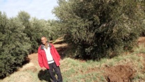 Chafiki Saoudi