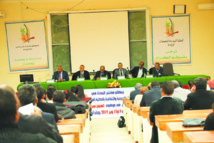 Quand cette graine de folie éclot dans un terreau fertile de création, elle fait bien des fous-heureux Quand cette graine de folie éclot dans un terreau fertile de création, elle fait bien des fous-heureux