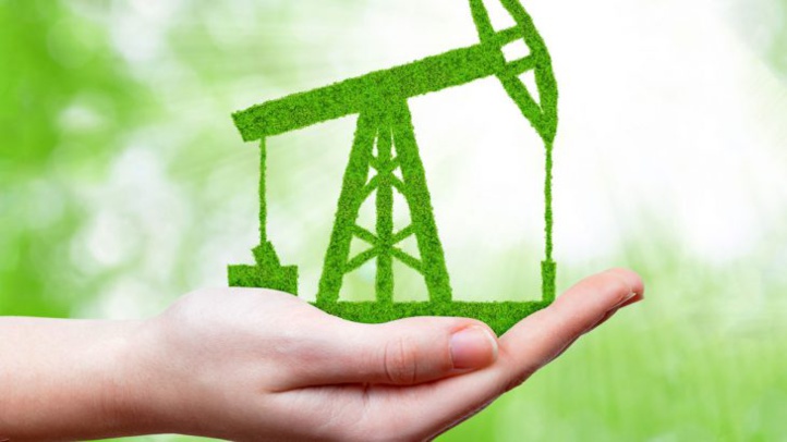 Le Maroc pourrait devenir un exportateur de pétrole vert avant 2030 Le Maroc pourrait devenir un exportateur de pétrole vert avant 2030