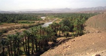 Tourisme durable à Zagora : Le potentiel oasien au cœur du débat Tourisme durable à Zagora : Le potentiel oasien au cœur du débat