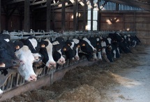 Ils appréhendent leur exclusion du programme d’aide : Les agriculteurs des Doukkala broient du noir Ils appréhendent leur exclusion du programme d’aide : Les agriculteurs des Doukkala broient du noir