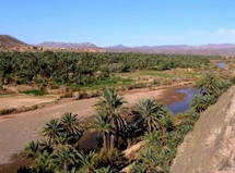 Dans les vallées de Draâ et Maidr, le secteur nuit à la biodiversité : Le tourisme coûte plus qu'il ne rapporte Dans les vallées de Draâ et Maidr, le secteur nuit à la biodiversité : Le tourisme coûte plus qu'il ne rapporte