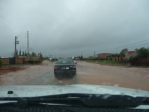 Les pluies ne sauveront pas l’actuelle campagne agricole : Les précipitations pointent à l’horizon Les pluies ne sauveront pas l’actuelle campagne agricole : Les précipitations pointent à l’horizon