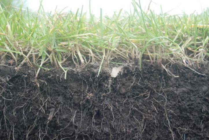 La Fondation OCP appuie le lancement de la carte de fertilité des sols cultivés au Ghana La Fondation OCP appuie le lancement de la carte de fertilité des sols cultivés au Ghana