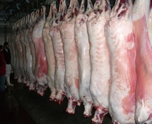 Les chevillards casablancais sortent les couteaux : La gestion des abattoirs mise à l’index Les chevillards casablancais sortent les couteaux : La gestion des abattoirs mise à l’index