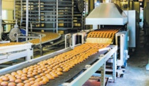 La production et les ventes dans l’industrie rechutent en novembre