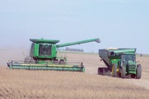 Le SIAM entame sa 7ème édition : La recherche, levier de développement de l'agriculture Le SIAM entame sa 7ème édition : La recherche, levier de développement de l'agriculture