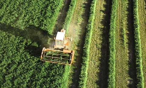 Les opportunités d'investissement dans le secteur agricole marocain exposées à Pékin