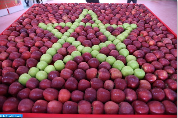 Valorisation des produits dérivés de la pomme dans la commune de Bouzmou