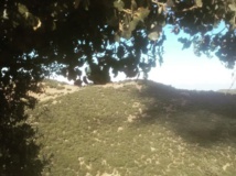 Reportage : Guerre sans merci entre prédateurs et super-prédateurs Reportage : Guerre sans merci entre prédateurs et super-prédateurs