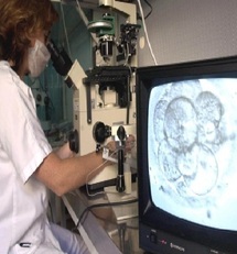 Procréation assistée : Un risque accru de malformations à la naissance Procréation assistée : Un risque accru de malformations à la naissance