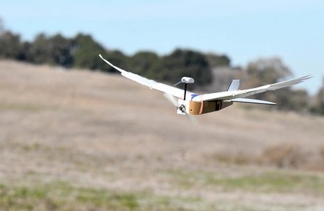 Les drones pourraient bientôt voler comme des oiseaux